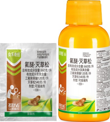 众禾奇招