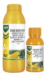 玉唐净